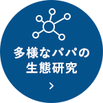 多様なパパの生態研究